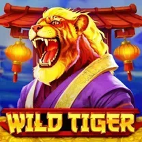 8383WIN